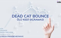 Dead Cat Bounce – Ölü Kedi Sıçraması