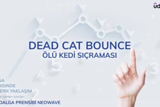 Dead Cat Bounce – Ölü Kedi Sıçraması