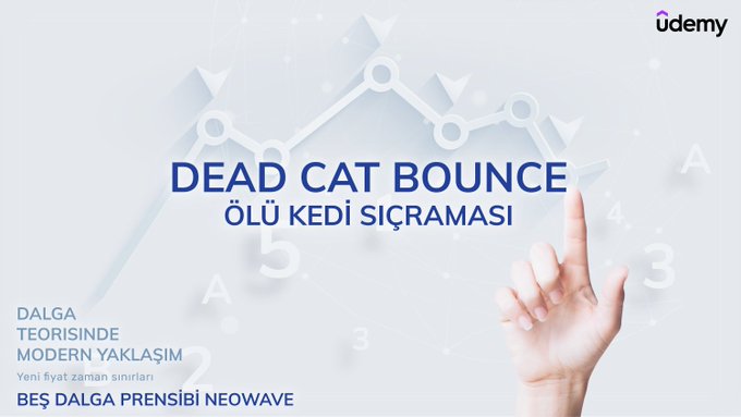 Dead Cat Bounce – Ölü Kedi Sıçraması